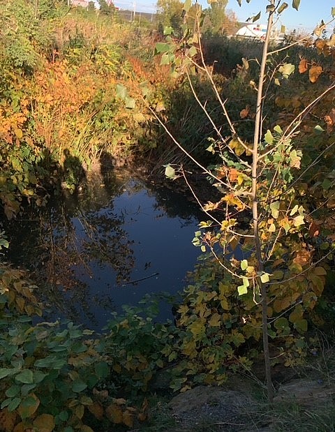 Retentionsbecken Krottenbach