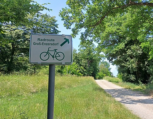Radweg Lobau